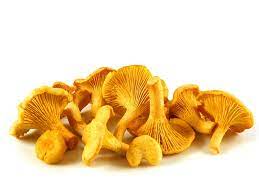 Girolles