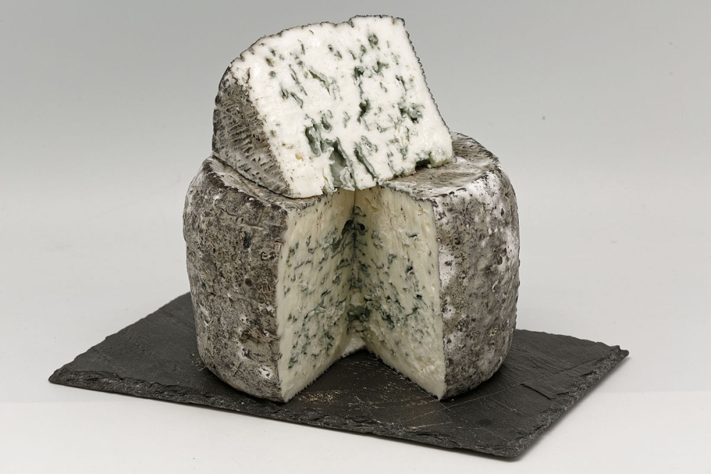 Bleu de chèvre Tout un Fromage — free download
